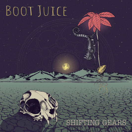 "Shifting Gears" Vinyl